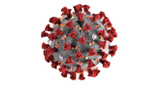 THE VIRUS OF DEATH – Could this be God? A Reflection on Covid-19