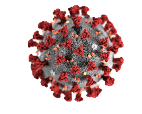 THE VIRUS OF DEATH – Could this be God? A Reflection on Covid-19