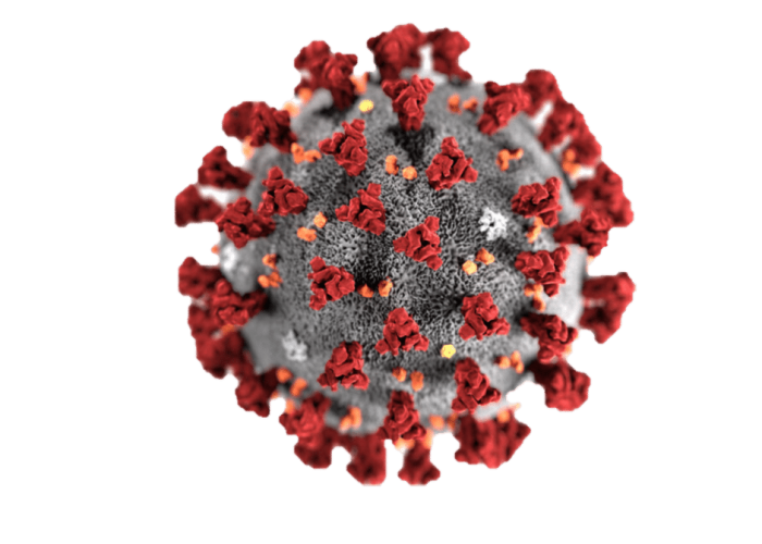 THE VIRUS OF DEATH – Could this be God? A Reflection on Covid-19
