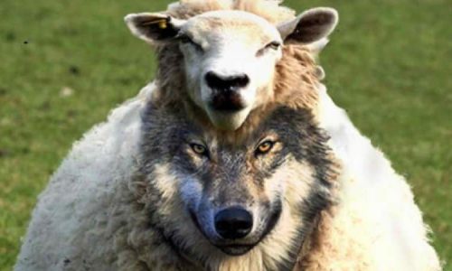 The Church and Present Day Deception