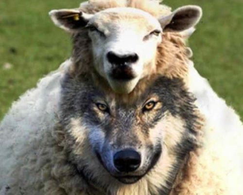 The Church and Present Day Deception
